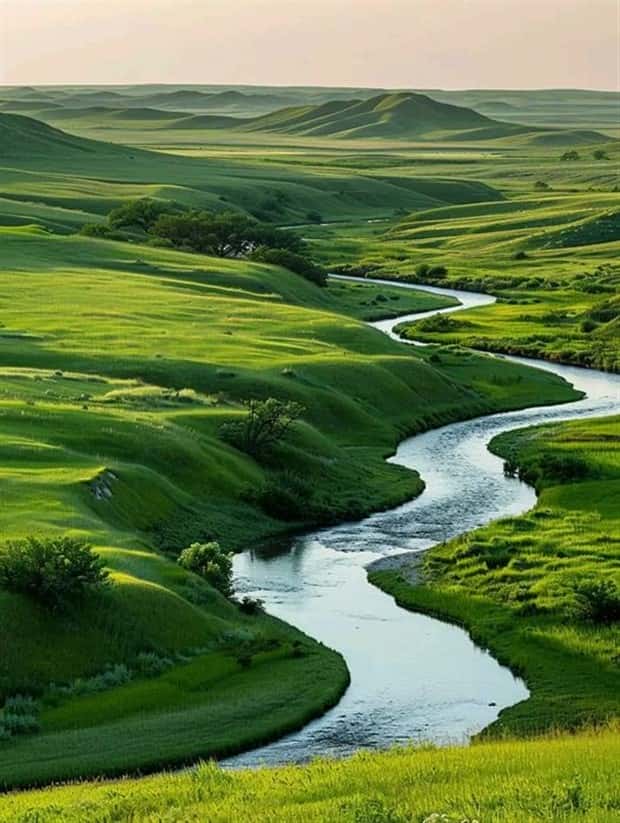 Awesome Pictures You Shouldn’t Miss #115 (22 photos)