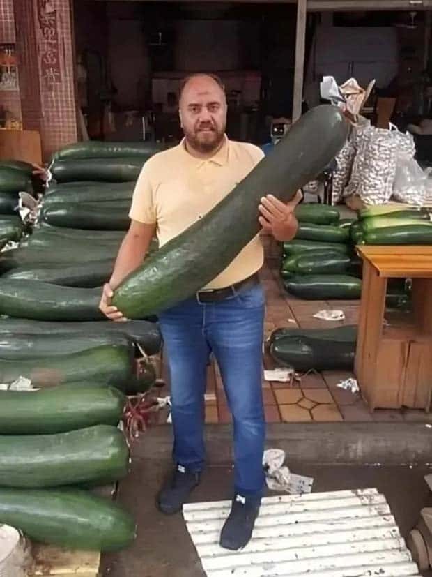 Well, That’s Really Big #14 (24 photos)