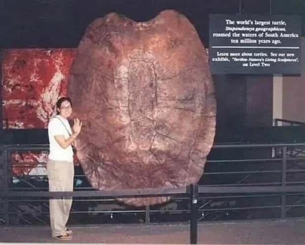 Well, That’s Really Big #14 (24 photos)