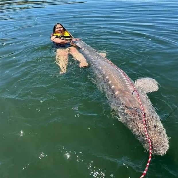 Well, That’s Really Big #14 (24 photos)