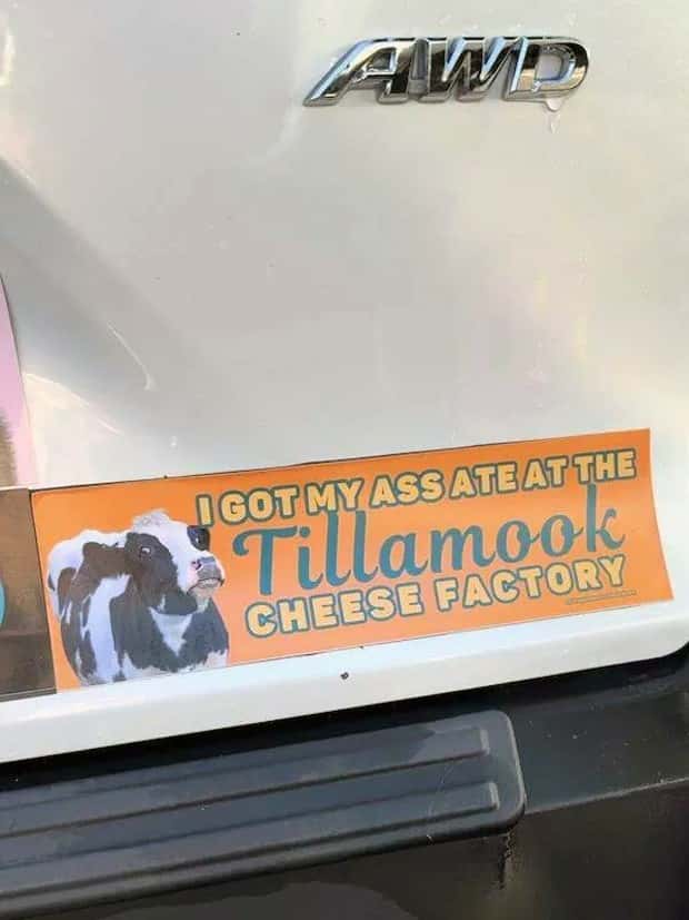 bumper stickers 22 Hilarious Bumper Stickers on the Road (33 photos)