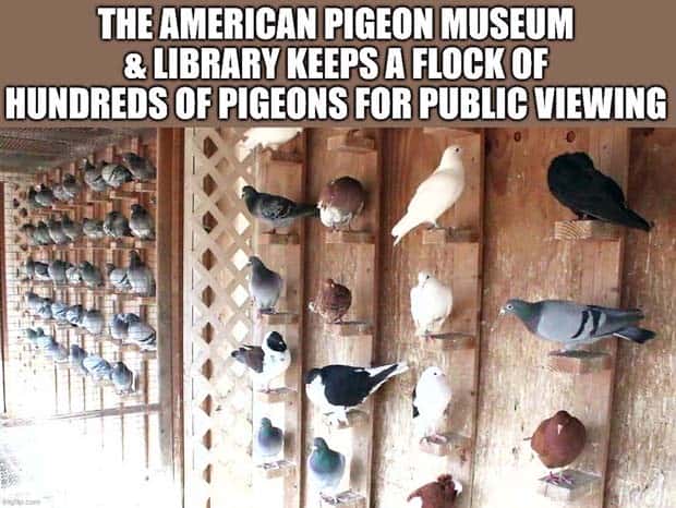 It’s Time for Some Cool and Interesting Facts #391 (24 photos)