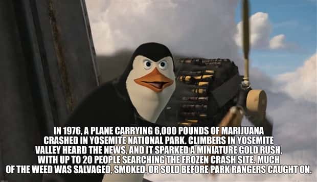 It’s Time for Some Cool and Interesting Facts #391 (24 photos)