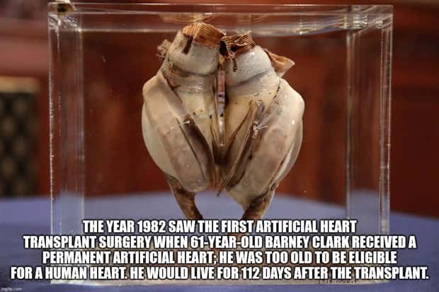 It’s Time for Some Cool and Interesting Facts #389 (22 photos)