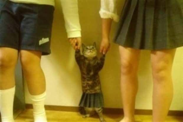 Get Ready for Funny Animals #346 (23 photos)