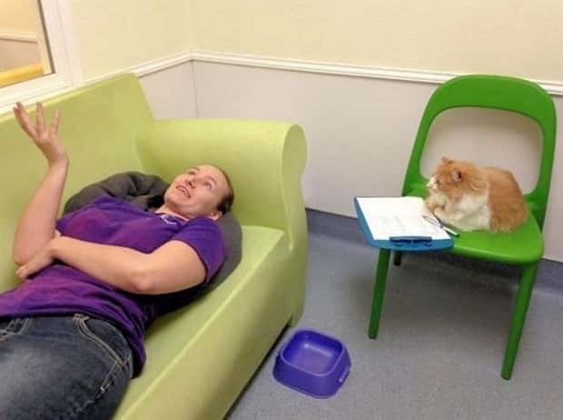 Get Ready for Funny Animals #344 (25 photos)