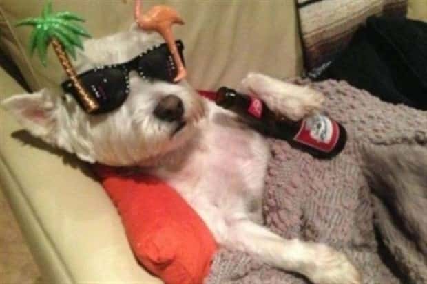 Get Ready for Funny Animals #346 (23 photos)