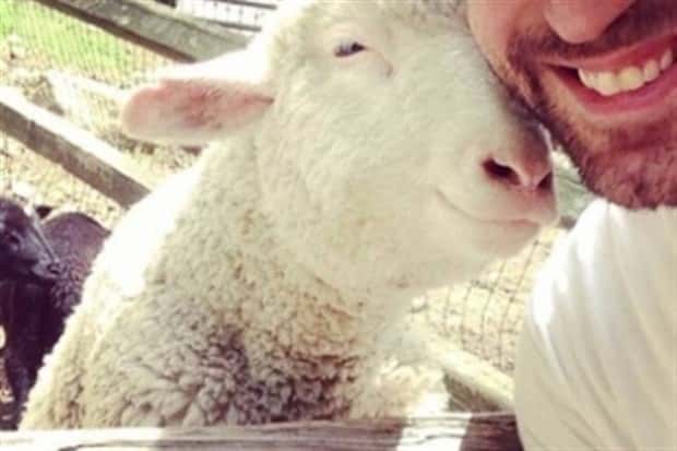 Get Ready for Funny Animals #346 (23 photos)