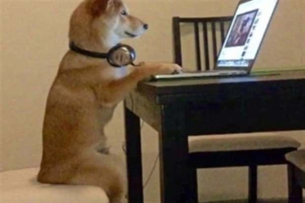 Get Ready for Funny Animals #346 (23 photos)