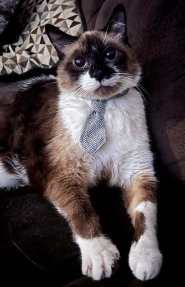 Get Ready for Funny Animals #346 (23 photos)