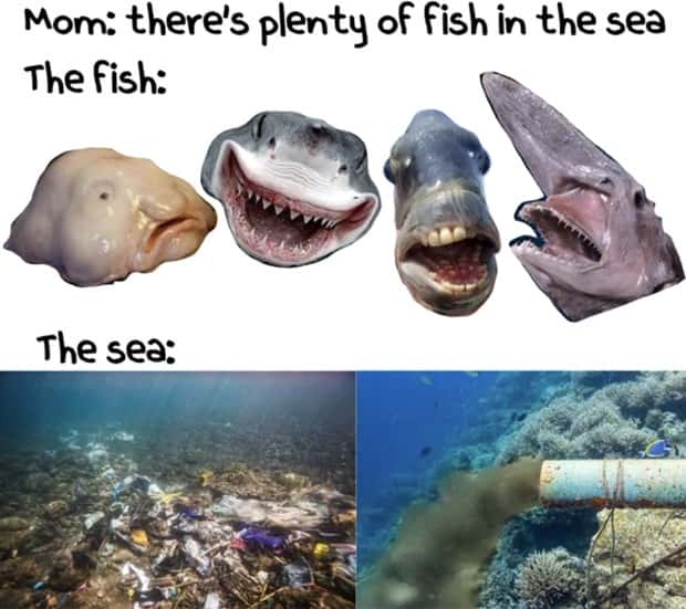 Funny Pics and Memes to Make You Laugh #118 (27 photos)