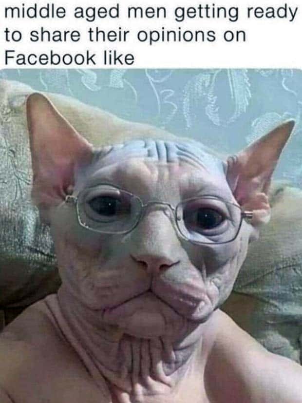 Funny Pics and Memes to Make You Laugh #116 (29 photos)