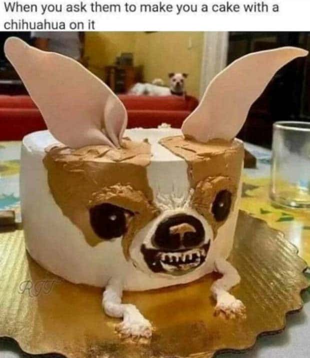 Funny Pics and Memes to Make You Laugh #118 (27 photos)