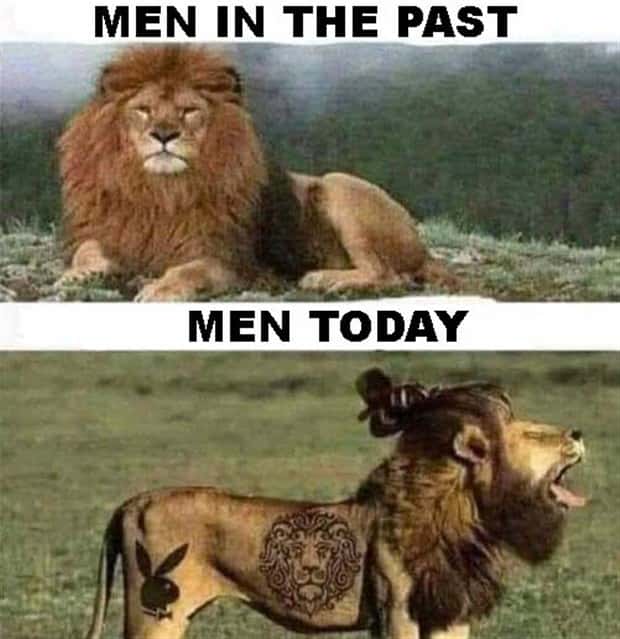 Funny Pics and Memes to Make You Laugh #115 (28 photos)