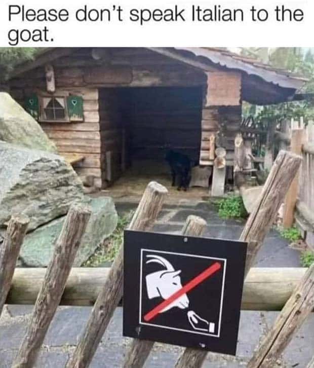 Funny Pics and Memes to Make You Laugh #116 (29 photos)