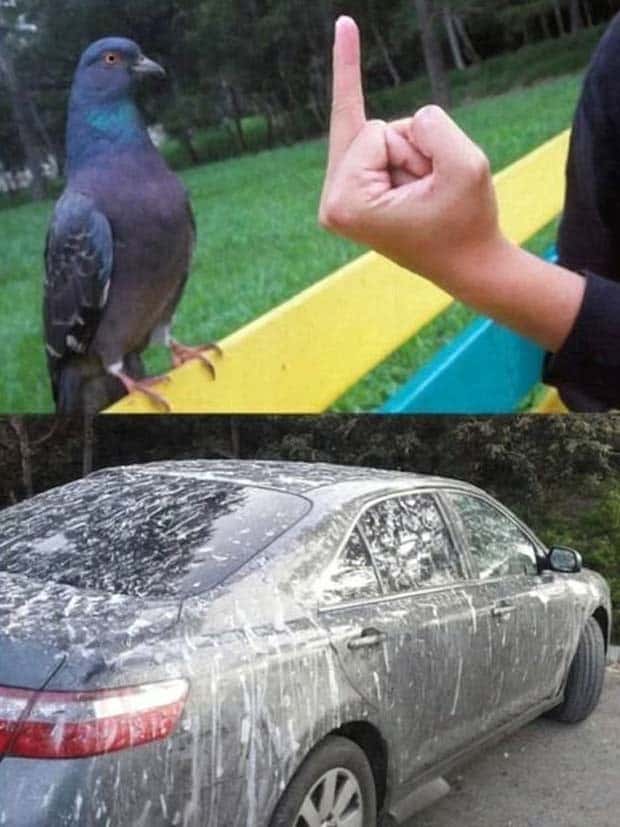 Funny Pics and Memes to Make You Laugh #115 (28 photos)