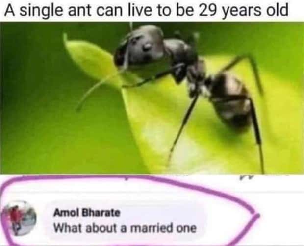 Funny Pics and Memes to Make You Laugh #115 (28 photos)