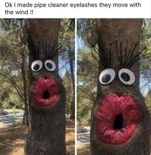 Funny Pics and Memes to Make You Laugh #116 (29 photos)