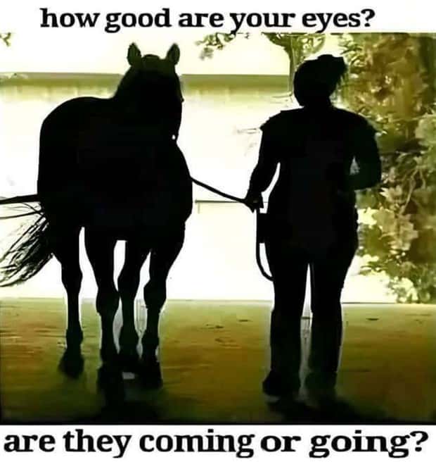 Funny Pics and Memes to Make You Laugh #114 (24 photos)