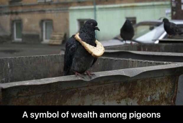 Funny Pics and Memes to Make You Laugh #114 (24 photos)