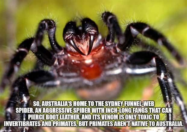 Funny Shower Thoughts #117 (22 photos)