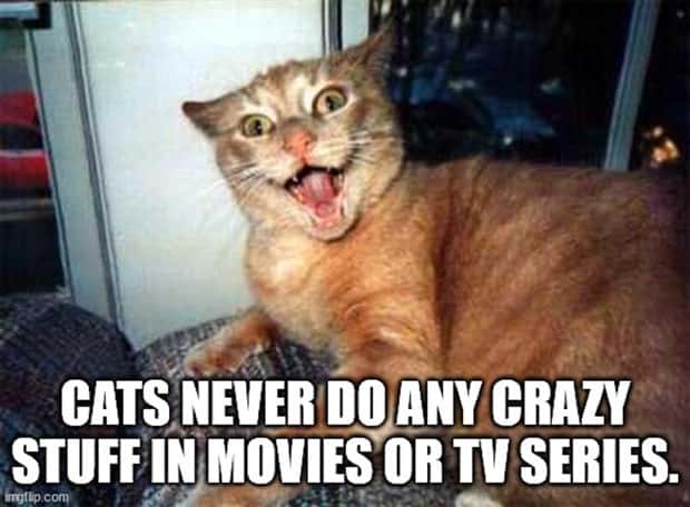 Funny Shower Thoughts #117 (22 photos)