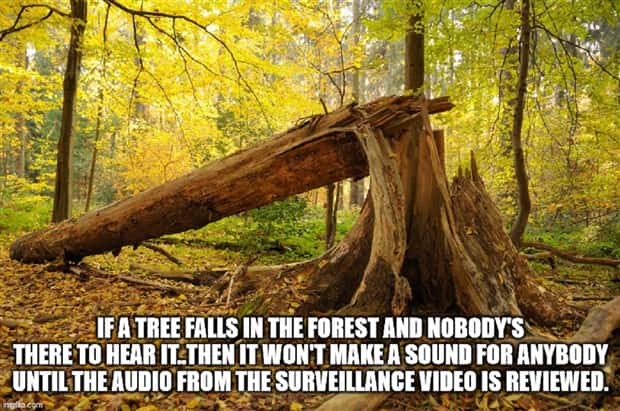 Funny Shower Thoughts #117 (22 photos)