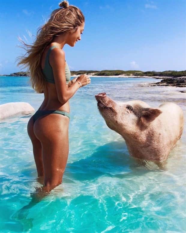 Hot Bikini Girls #65 (23 photos)