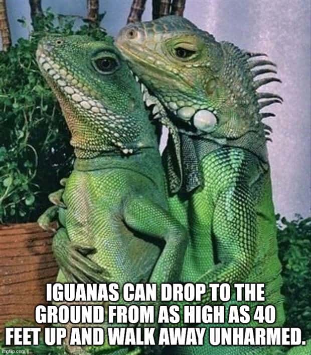 It’s Time for Some Cool and Interesting Facts #392 (28 photos)