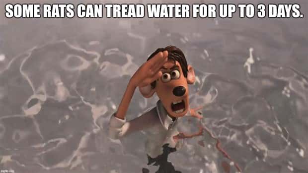 It’s Time for Some Cool and Interesting Facts #392 (28 photos)