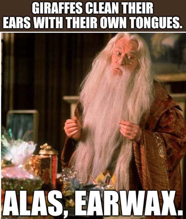 It’s Time for Some Cool and Interesting Facts #392 (28 photos)