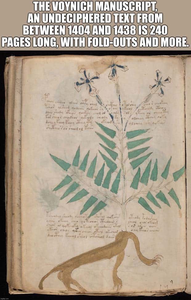 It’s Time for Some Cool and Interesting Facts #392 (28 photos)