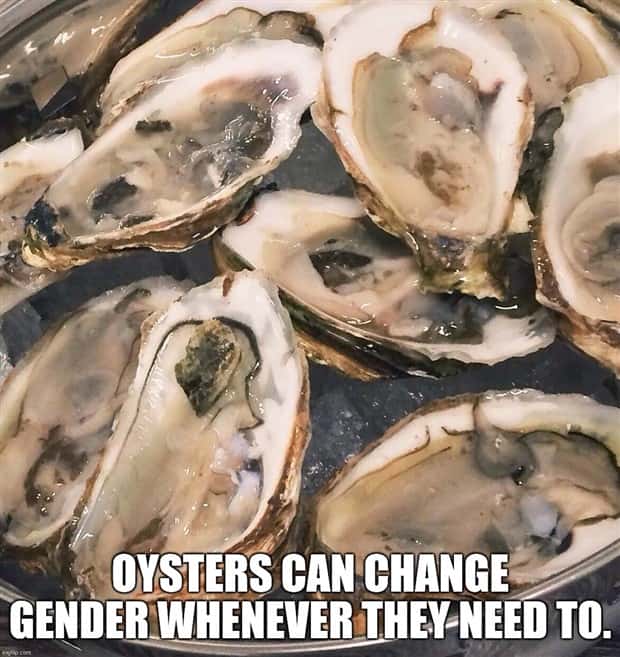 It’s Time for Some Cool and Interesting Facts #392 (28 photos)