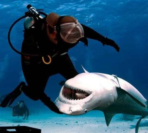 Klyker Picdump #1519 (44 photos)