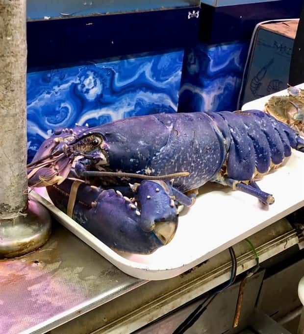 Klyker Picdump #1519 (44 photos)