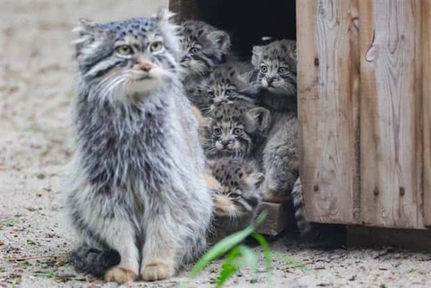 Klyker Picdump #1519 (44 photos)