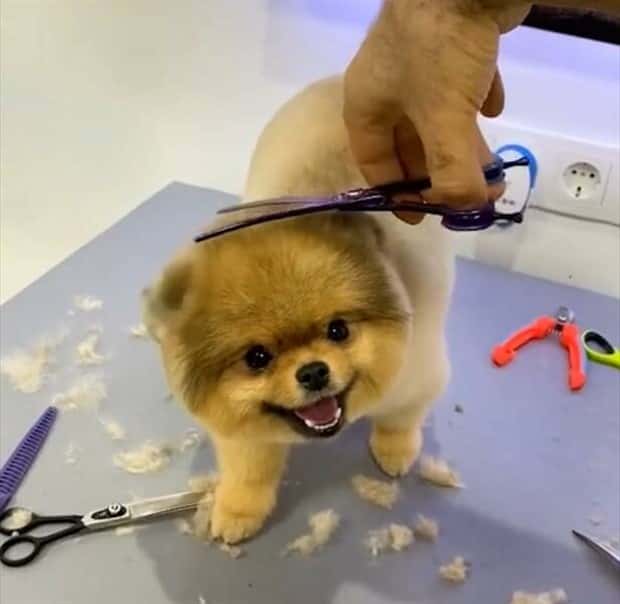 Klyker Picdump #1527 (42 photos)