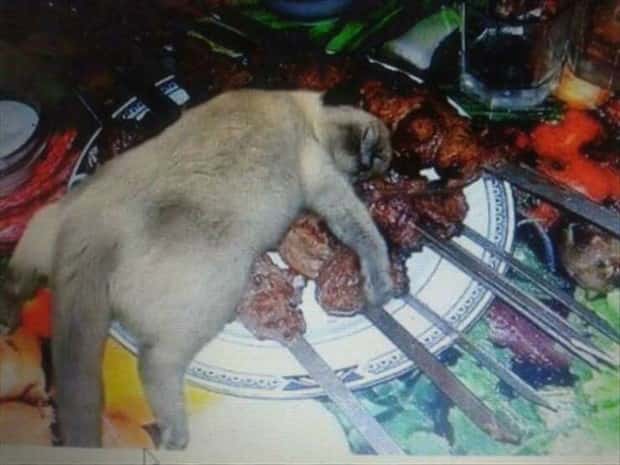 Klyker Picdump #1527 (42 photos)