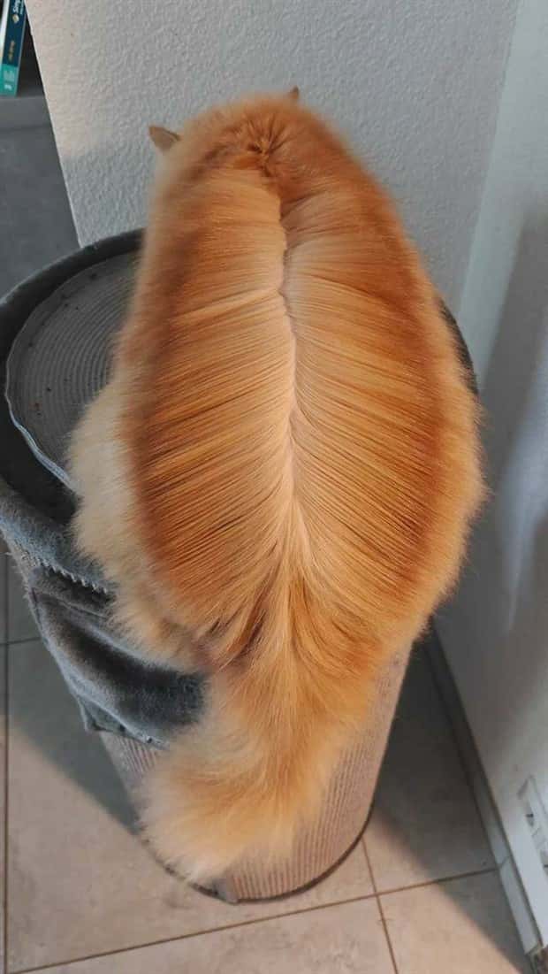 Klyker Picdump #1527 (42 photos)