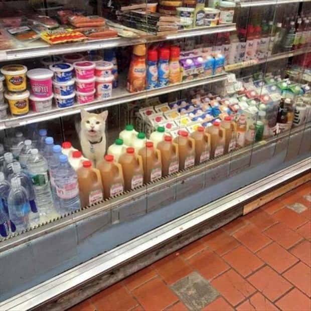 Klyker Picdump #1527 (42 photos)