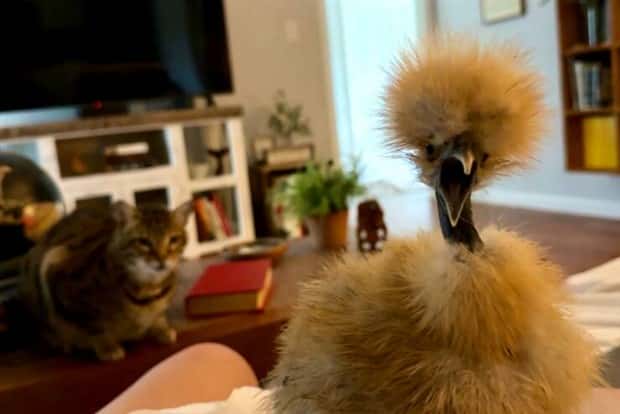 Klyker Picdump #1527 (42 photos)