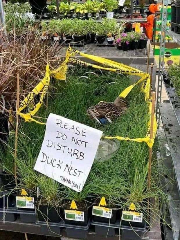 Klyker Picdump #1529 (44 photos)