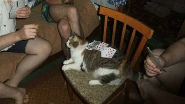 Klyker Picdump #1530 (45 photos)