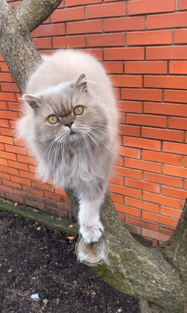 Klyker Picdump #1530 (45 photos)