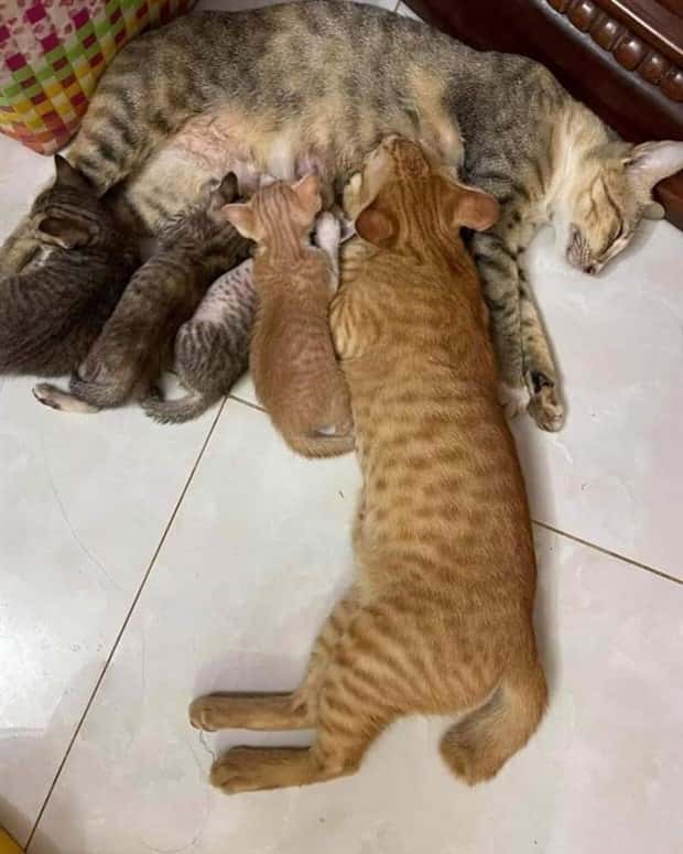 Klyker Picdump #1530 (45 photos)