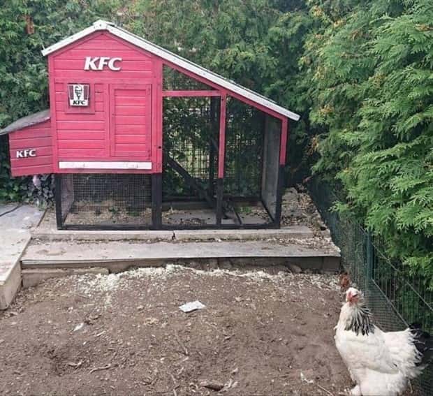 Klyker Picdump #1530 (45 photos)