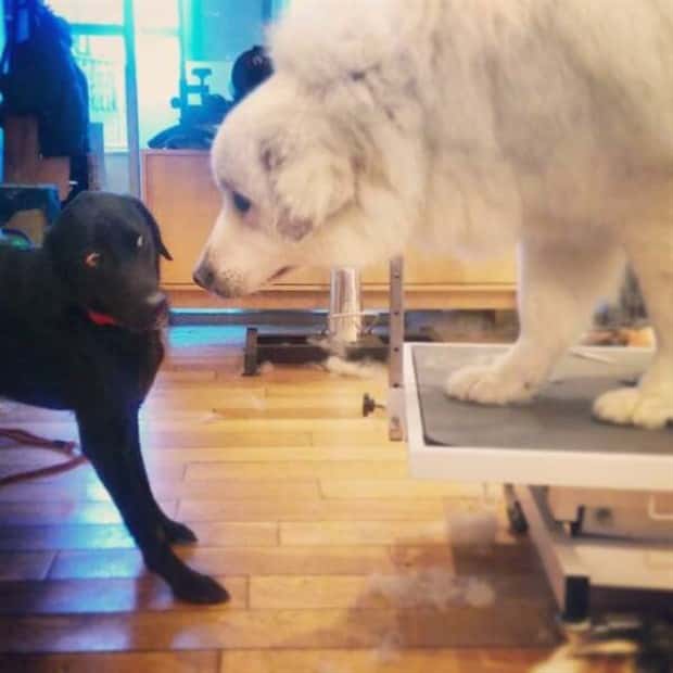 Klyker Picdump #1530 (45 photos)