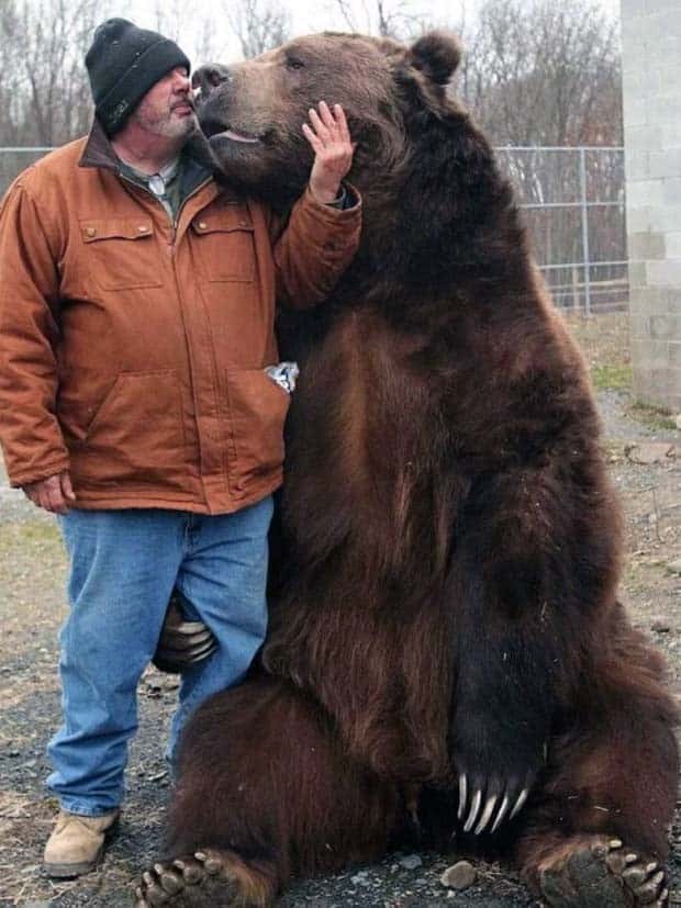 Klyker Picdump #1531 (41 photos)