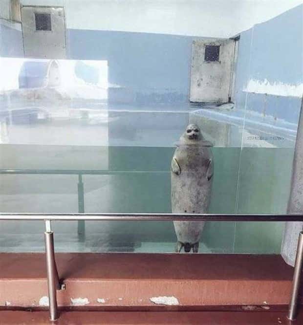 Klyker Picdump #1531 (41 photos)