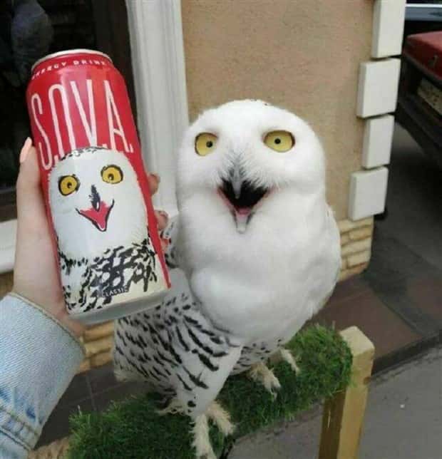 Klyker Picdump #1531 (41 photos)